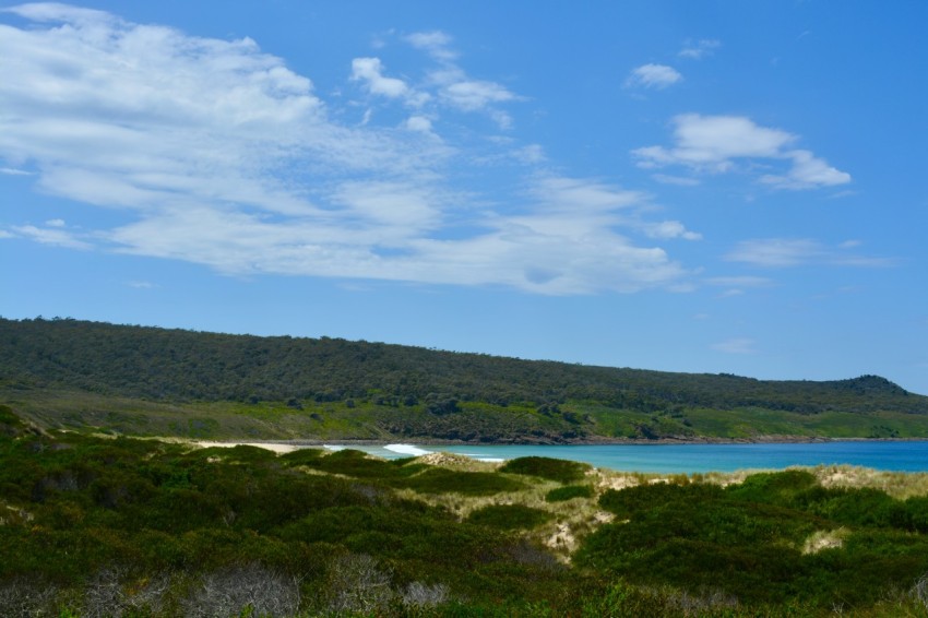 a view of a beach from a distance