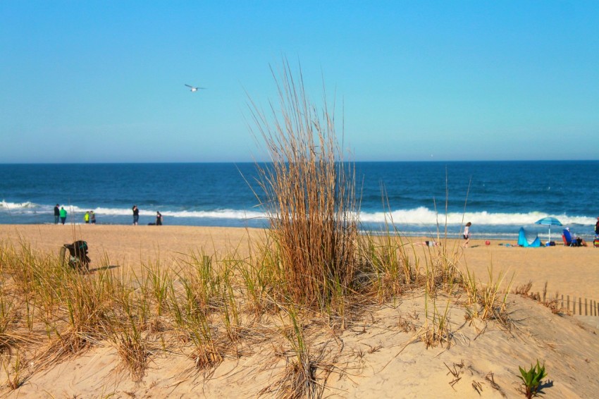 a view of a beach from the sand dunes