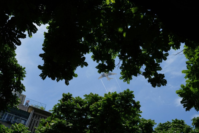 a kite is flying through the trees on a sunny day