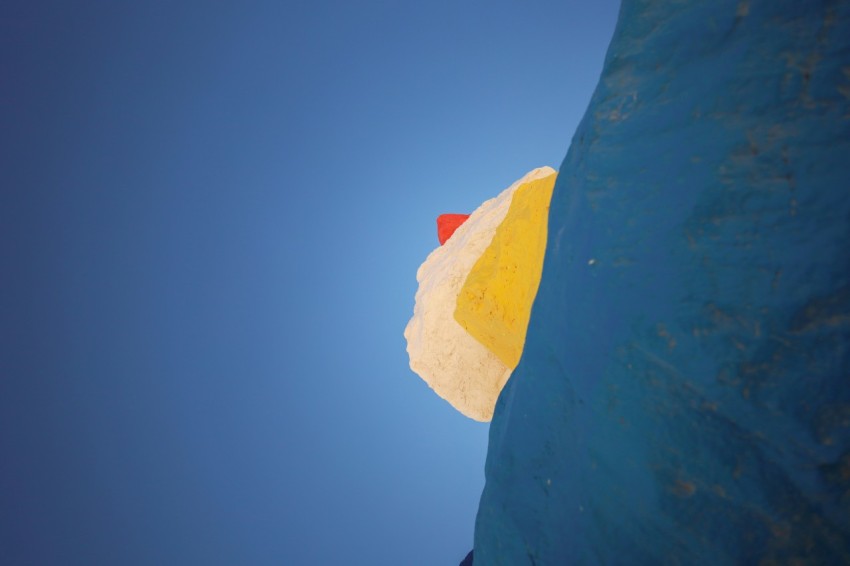 a blue bird with a yellow and white umbrella