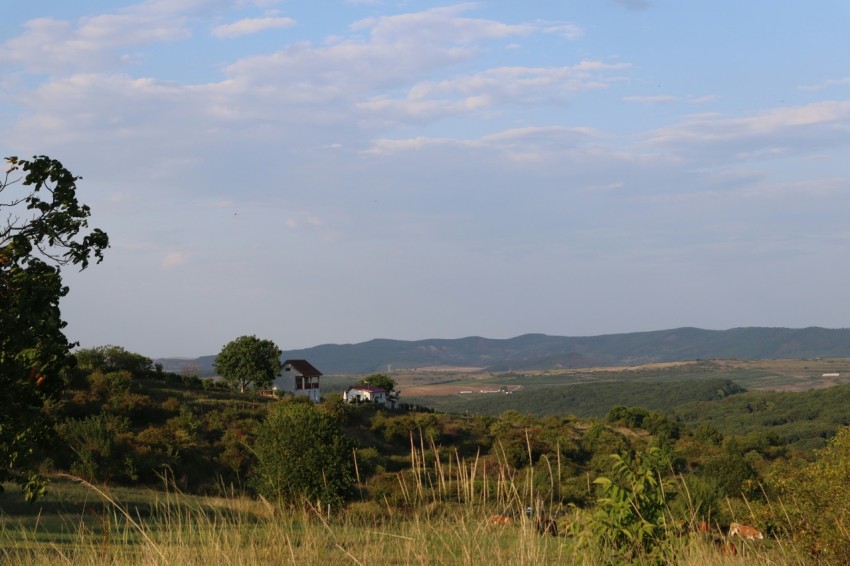 a view of a field with trees and hills in the distance