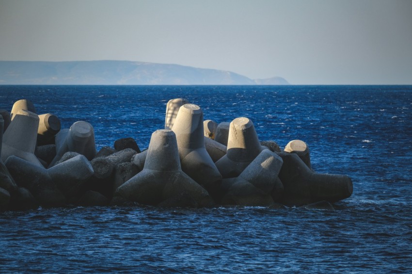 a group of sea lions sitting on top of each other in the ocean