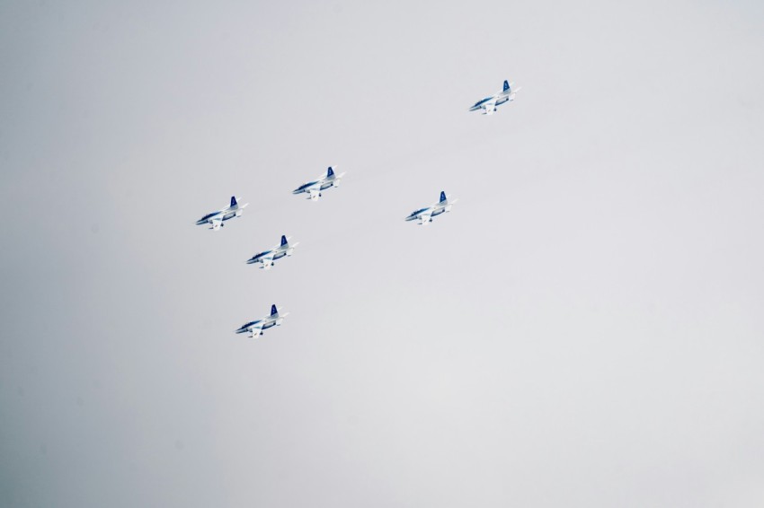 a flock of birds flying through a cloudy sky