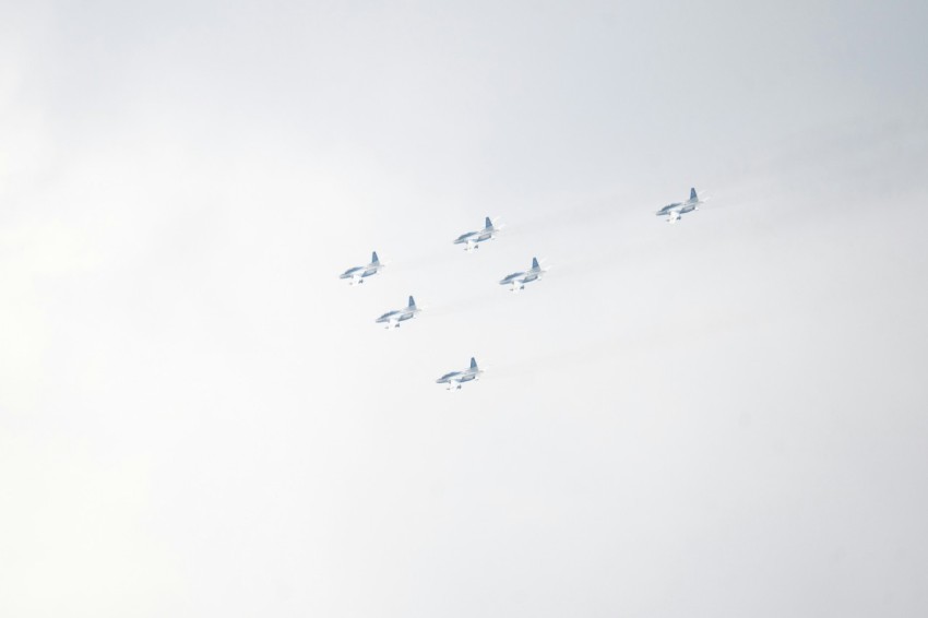 a flock of birds flying through a cloudy sky