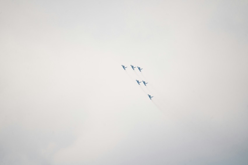 a flock of birds flying through a cloudy sky