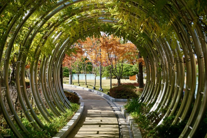 a walkway that is surrounded by trees and bushes