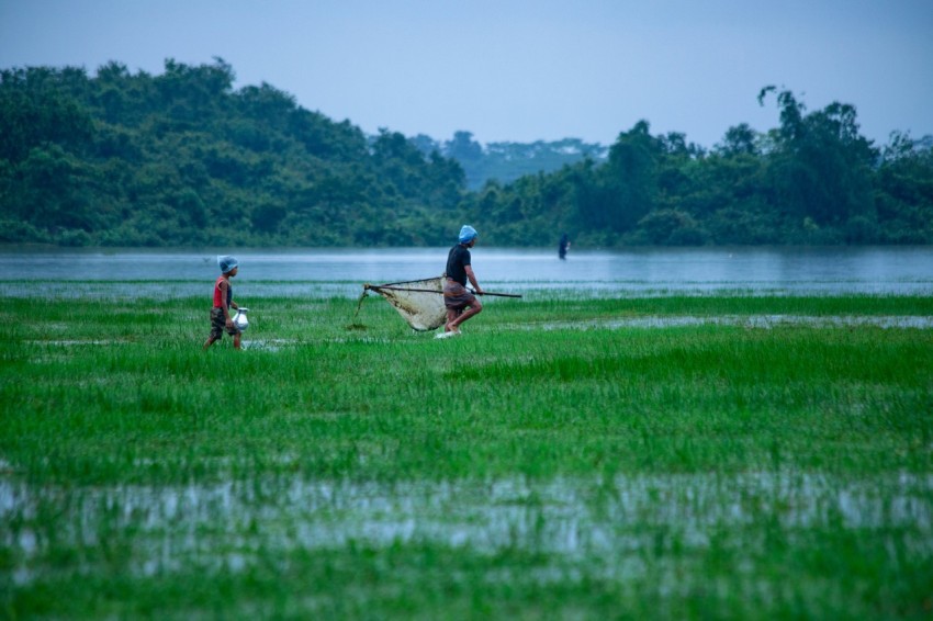 a couple of people walking across a lush green field