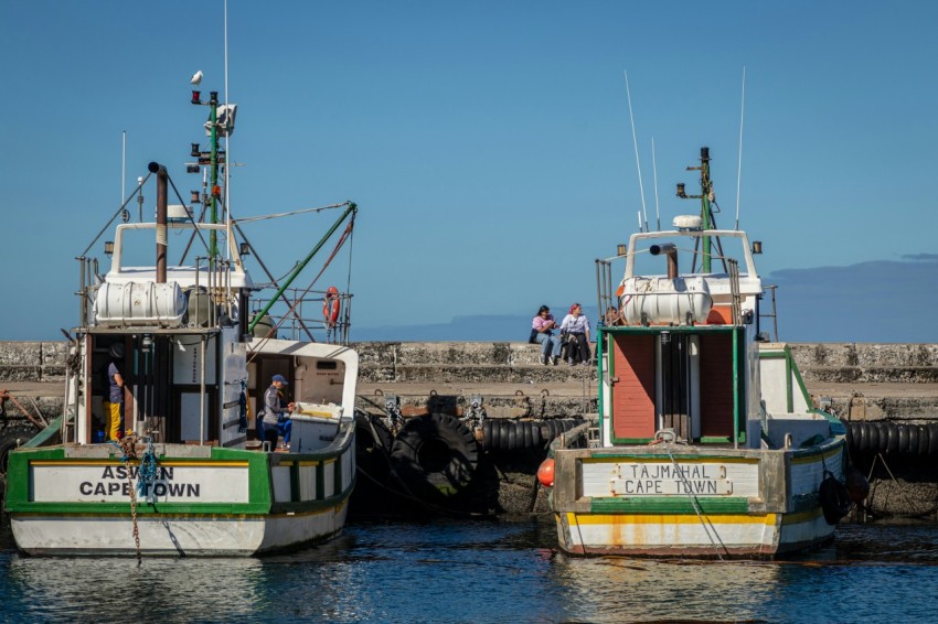 a group of boats sitting in a harbor next to each other