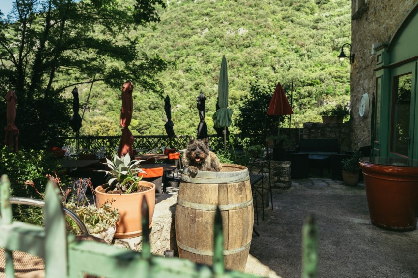 a wooden barrel sitting on top of a patio next to potted plants