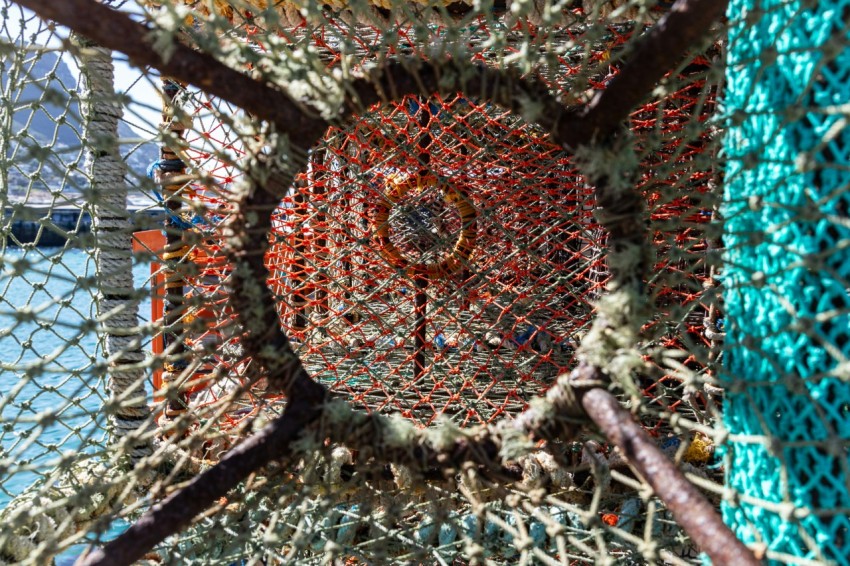 a close up view of a fishing net