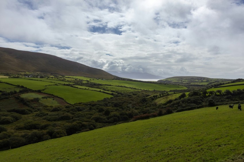 a lush green hillside covered in lush green grass