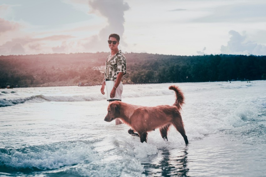 a man and his dog are playing in the water