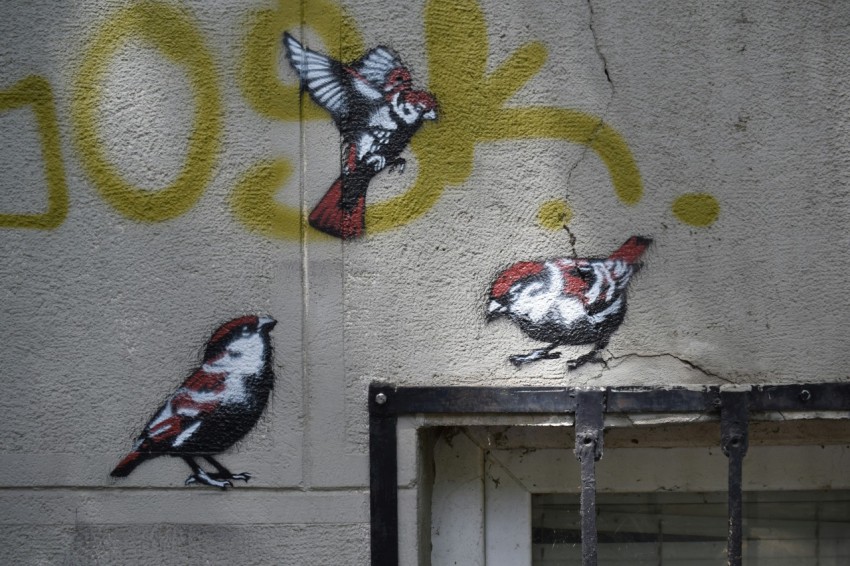 three birds painted on the side of a building