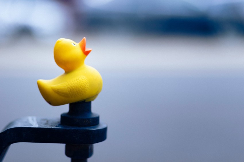 a rubber ducky sitting on top of a black pole