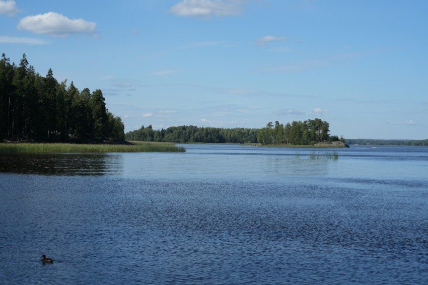 a large body of water surrounded by trees uQmjWiWev