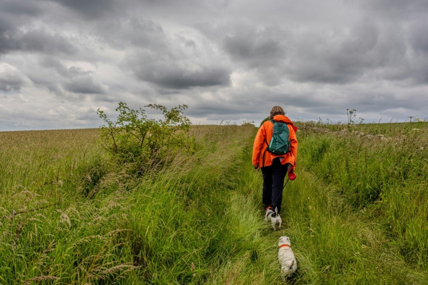 a person walking a dog in a field