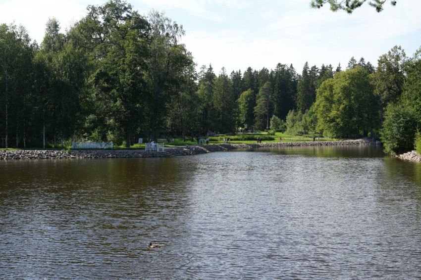 a body of water with trees in the background