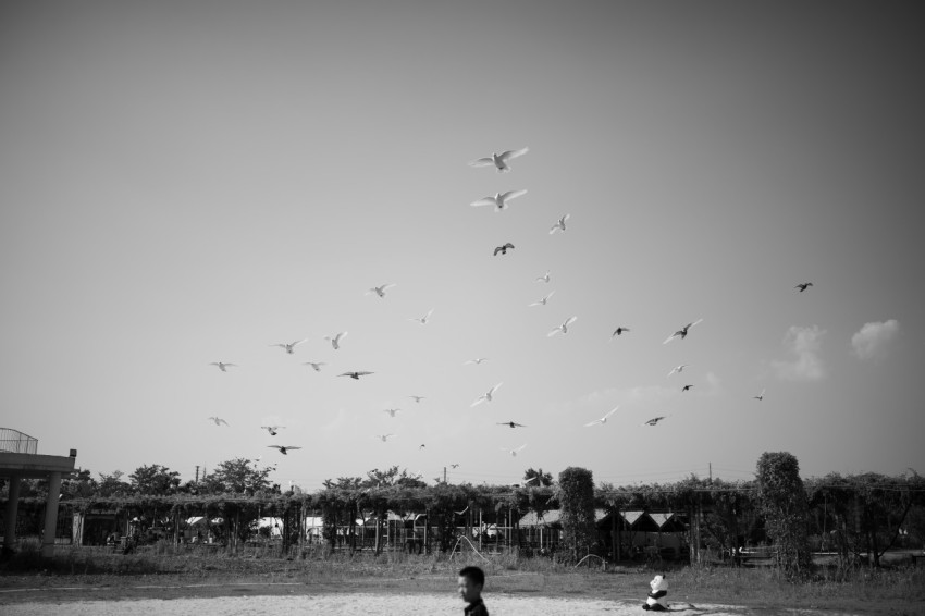 a black and white photo of people flying kites