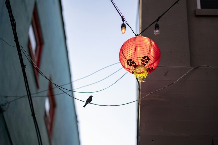 a red lantern hanging from a wire next to a building d