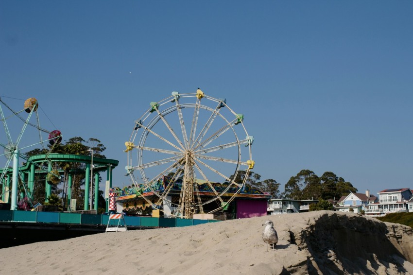 a ferris wheel sitting on top of a sandy beach