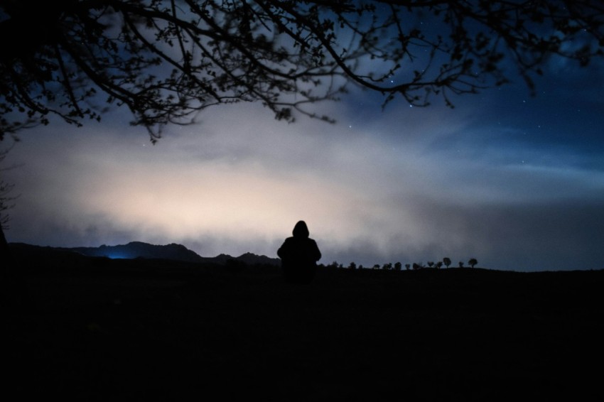 a person standing under a tree at night