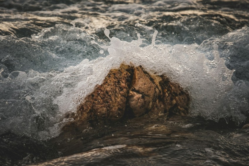 a rock in the middle of a body of water