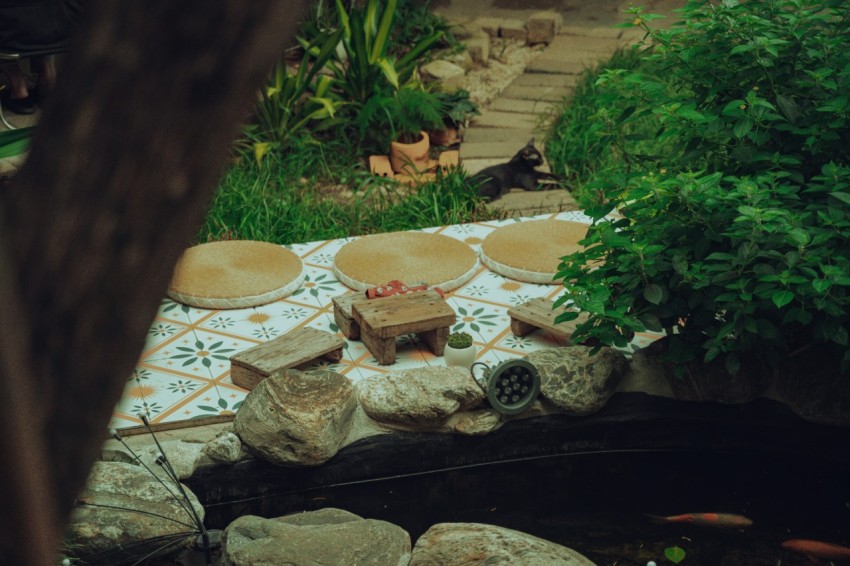 a garden with rocks and plants and a table with food on it g