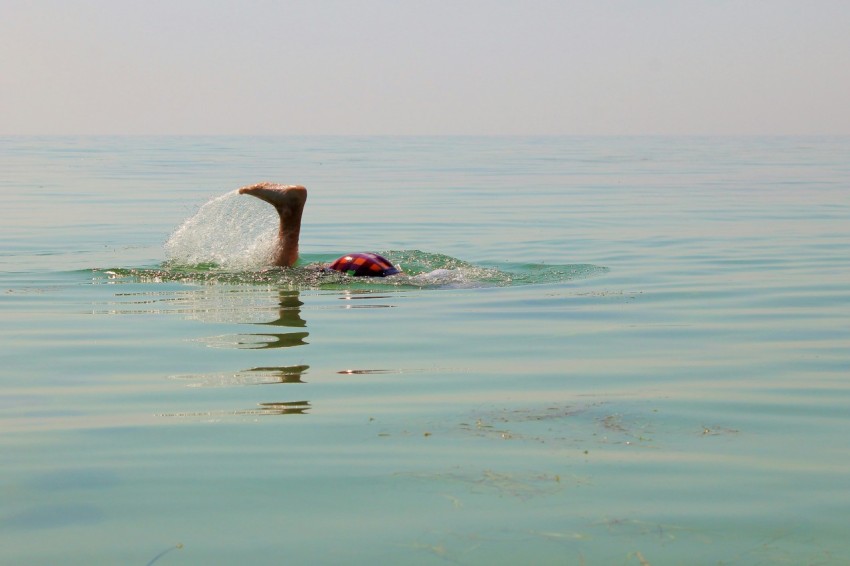 a bird swimming in the middle of the ocean