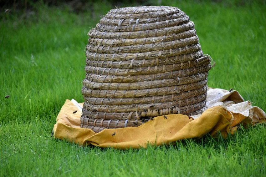 a straw hat sitting on top of a green field