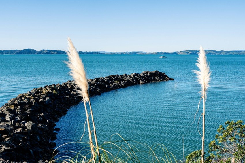 a body of water surrounded by grass and rocks