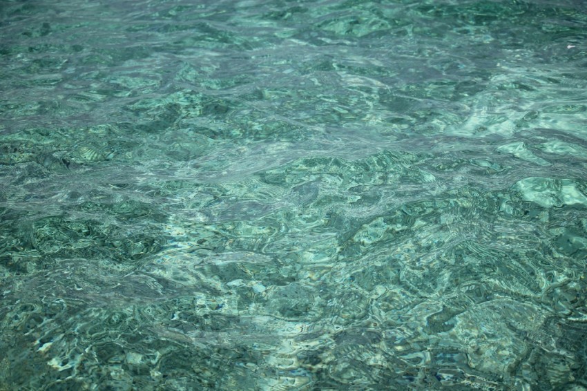 a large body of water that is very clear