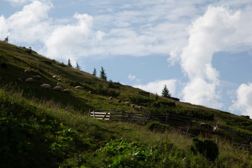 a grassy hill with a wooden fence on top of it