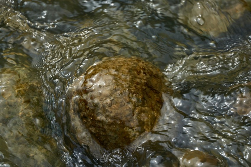 a rock in the middle of a stream of water