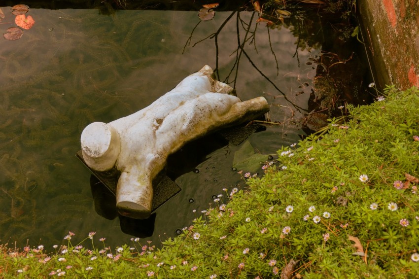 a statue of a dog laying in a body of water