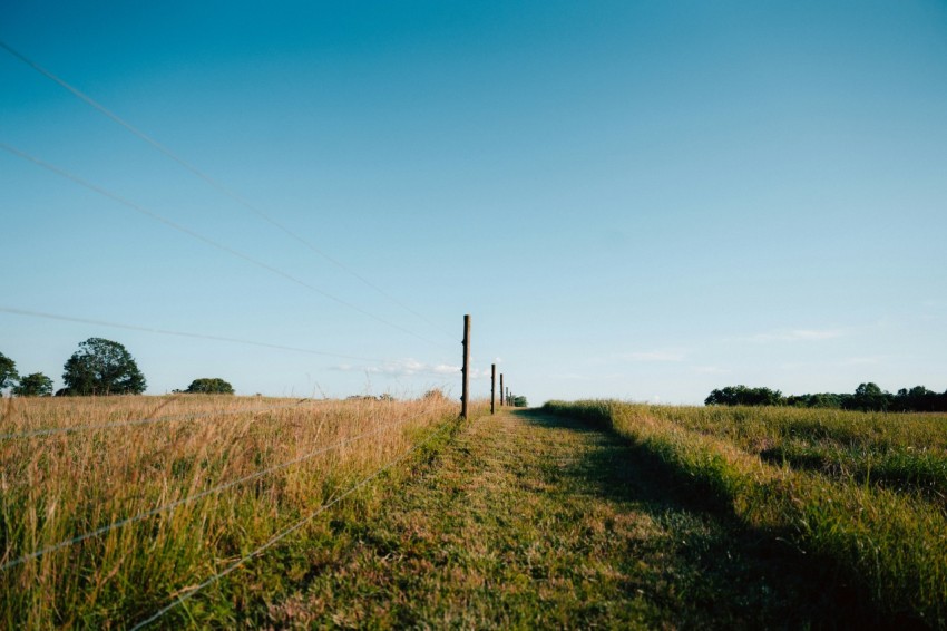 a grassy field with a fence in the middle of it