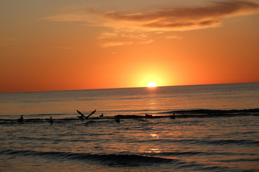 a sunset over the ocean with surfers in the water