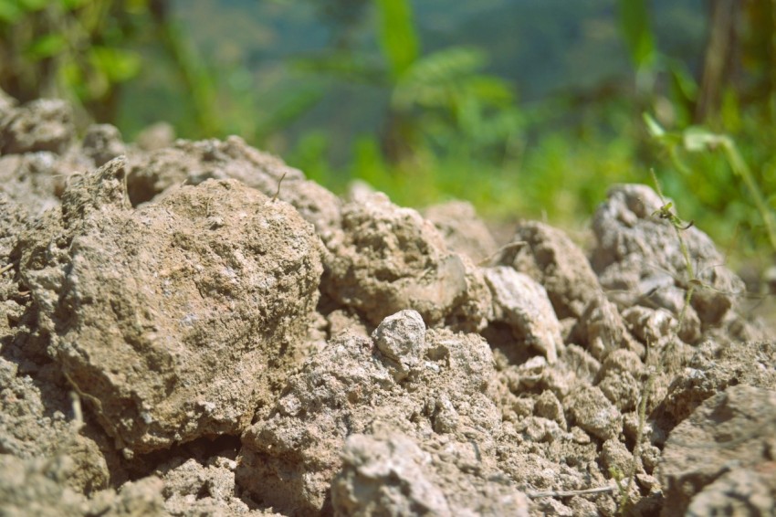 a pile of dirt sitting in the middle of a field