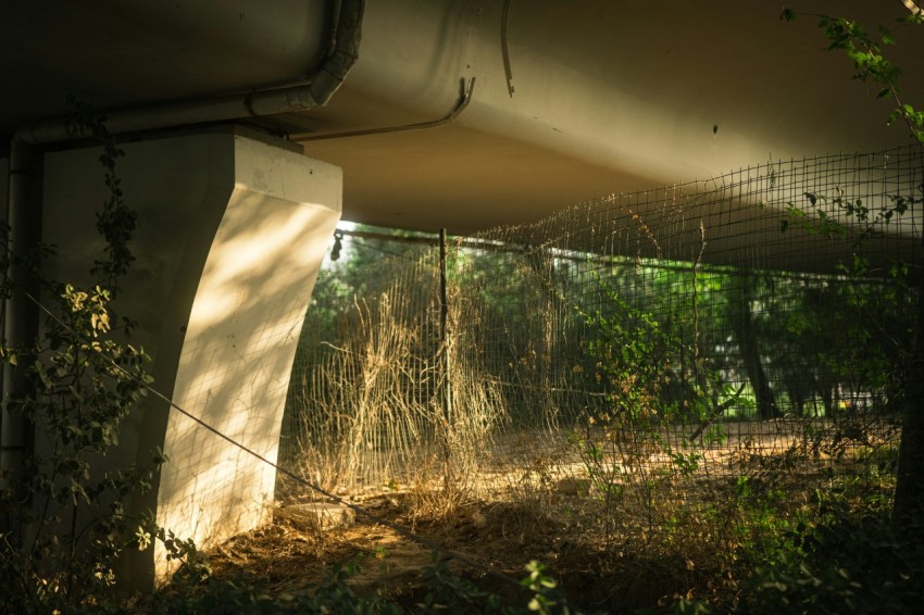 a view of a building in the woods