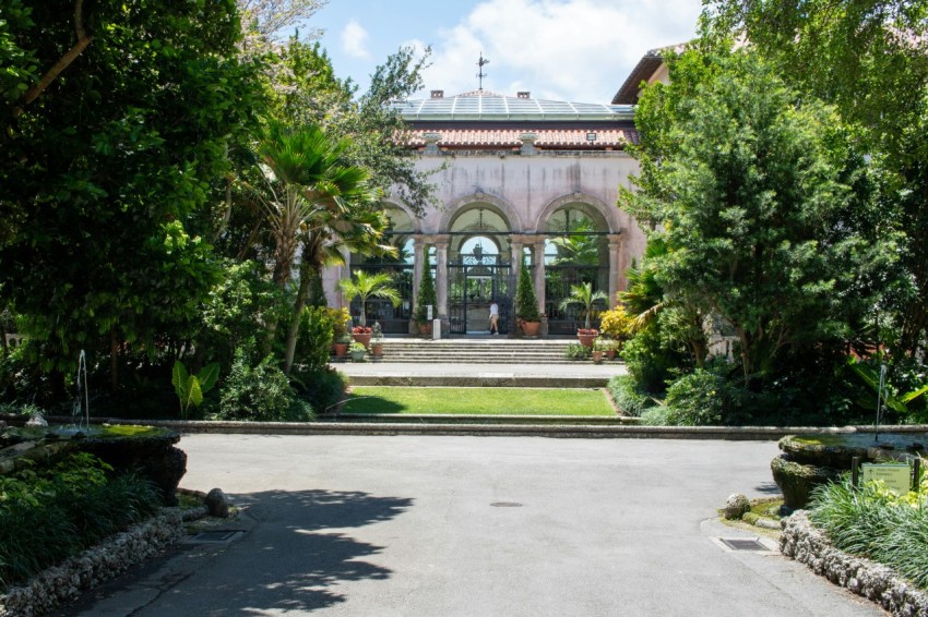 a driveway with trees and bushes surrounding it