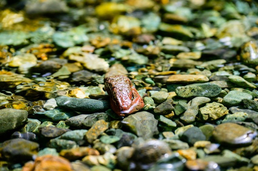 a close up of rocks and gravel with water