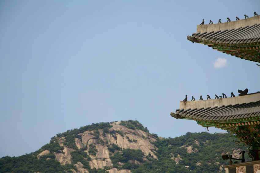 a group of birds sitting on the roof of a building