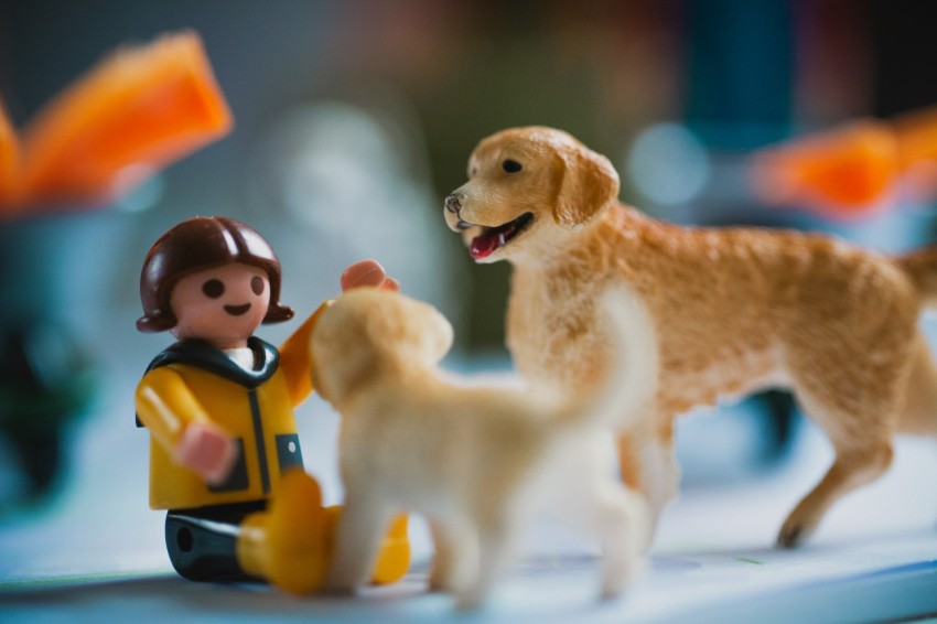 brown dog and yellow dog plastic toys