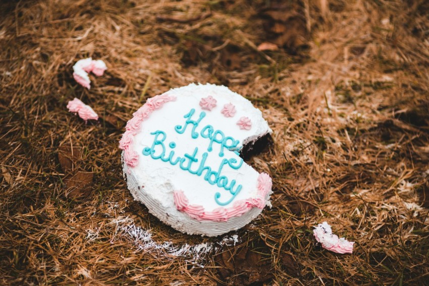 happy birthday cake on brown dried leaves