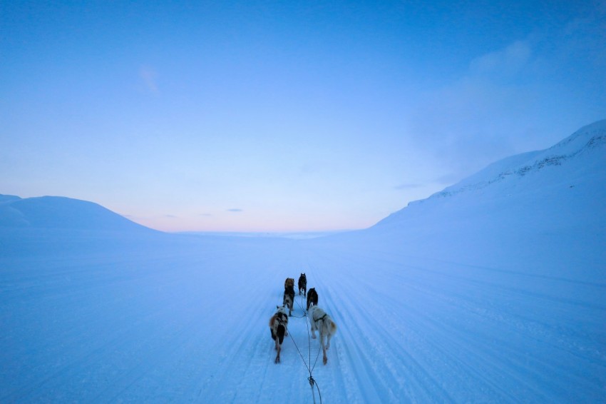 a group of people riding sleds down a snow covered slope