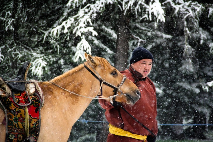 brown horse and a fat man