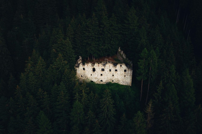 white concrete building in the middle of forest