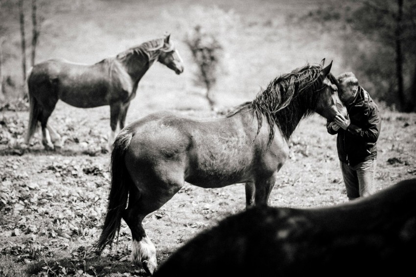 grayscale photo of man kissing horse