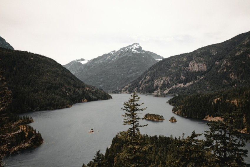 green trees near lake and mountains during daytime