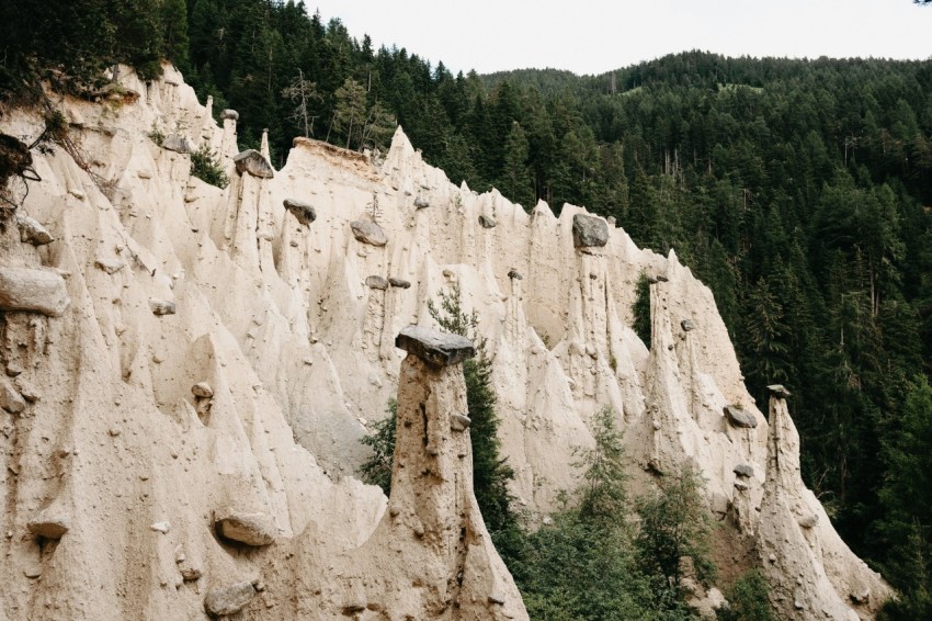 green trees on brown rocky mountain during daytime