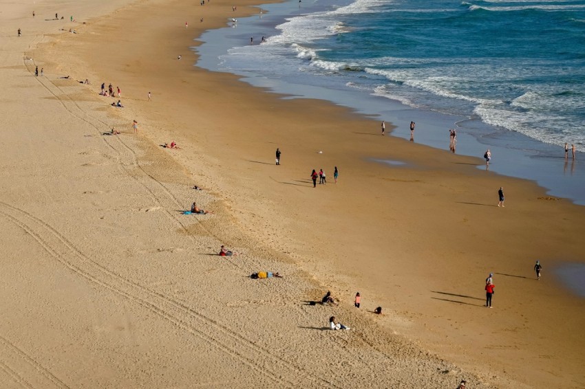 people on beach during daytime